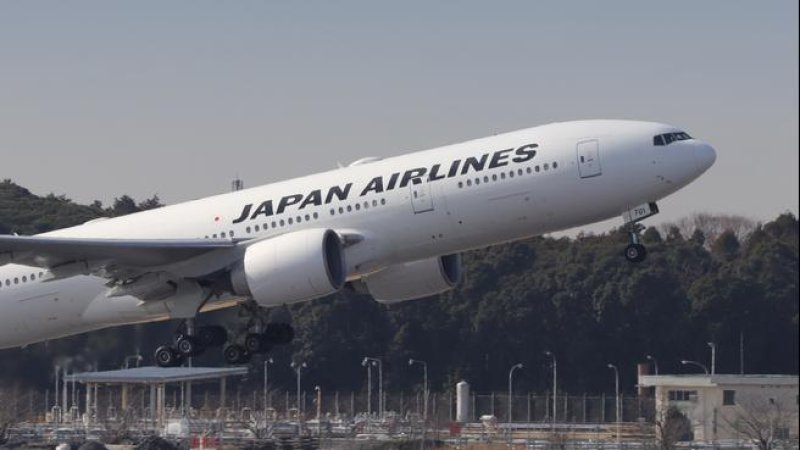 Japan Airlines. צילום: Shutterstock