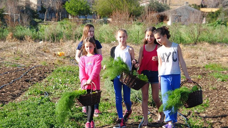 קטופותי. צילום: נגה וייס