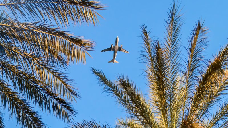 כיצד תיראה התעופה השנה? (צילום: SHUTTERSTOCK)