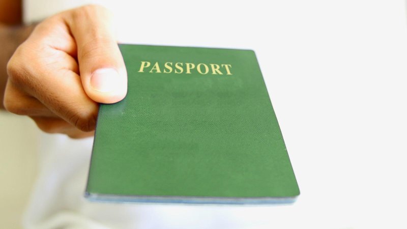 דרכון ירוק. צילום: 123rf