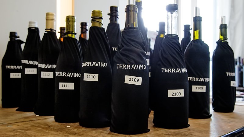 terravino, צילום: איש הענבים