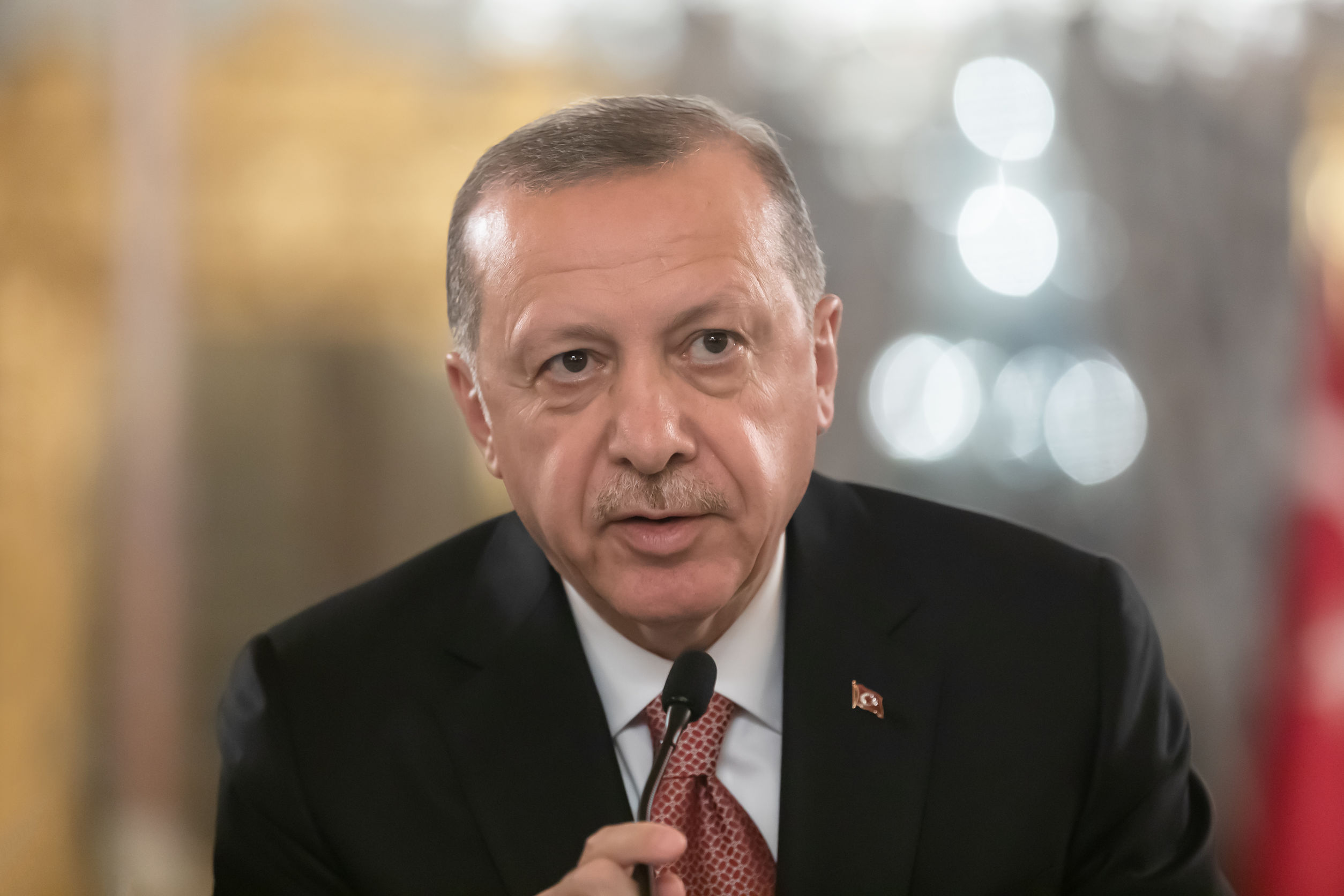 נשיא טורקיה, ארדואן. צילום: 123rf