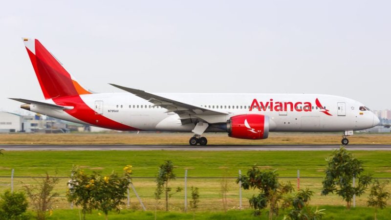 דרימליינר של Avianca. צילום: 123rf