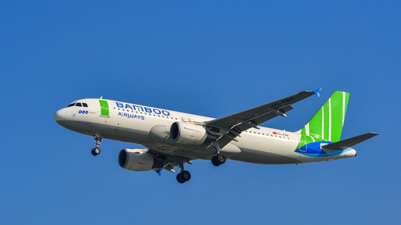 Bamboo Airways. צילום: 123rf
