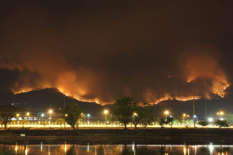 שריפות עזות בקליפרוניה צילום: 123rf.