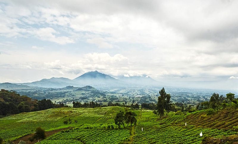 רואנדה. צילום: 123rf