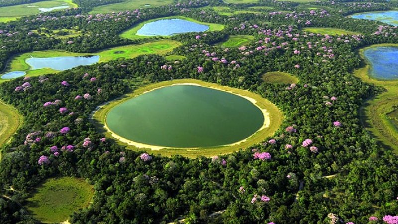 איזור PANTANAL. צילום: |צילום: יח"ץ פולאריס