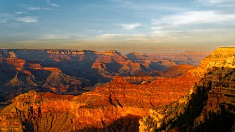 גרנד קניון South Rim. צילום: shutterstock