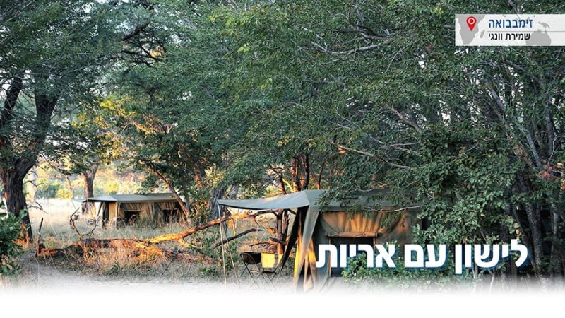 |צילומים: זיו קורן