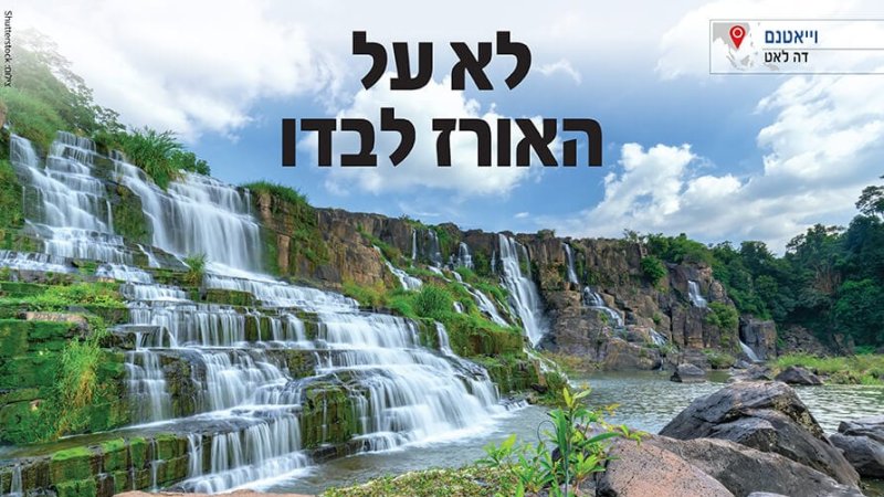 צילום: Shutterstock