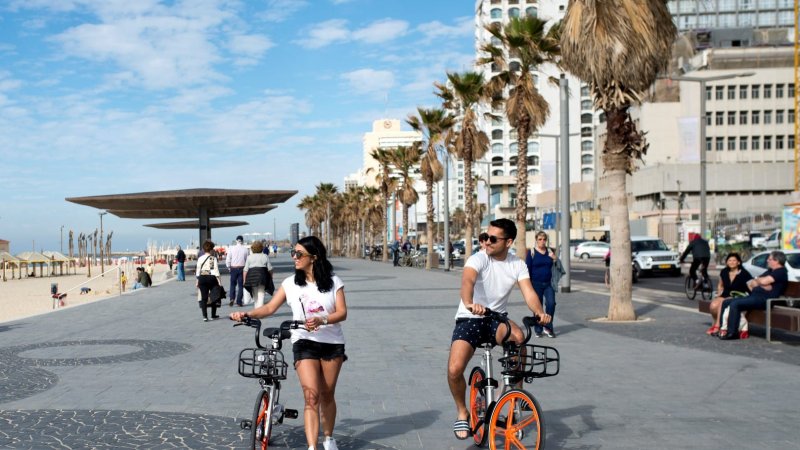 צילום: יעל אמיר|צילום: יעל אמיר