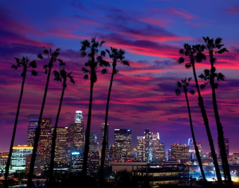 לוס אנג׳לס. צילום: shutterstock
