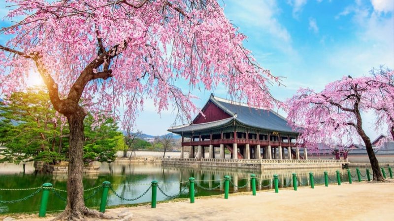 Gyeongbokgung Palace. צילום: Shutterstock