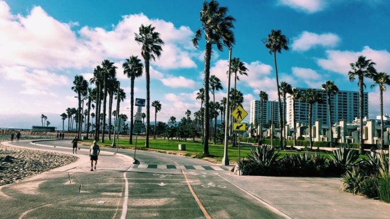 Venice Beach California. צילום: Shutterstock|