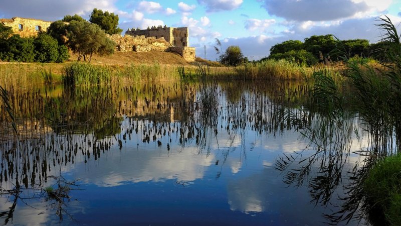 צילום: יח"צ|מלון רימונים גלי כינרת. צילום: שרון בראון