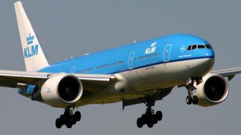 צילום: יח"צ KLM