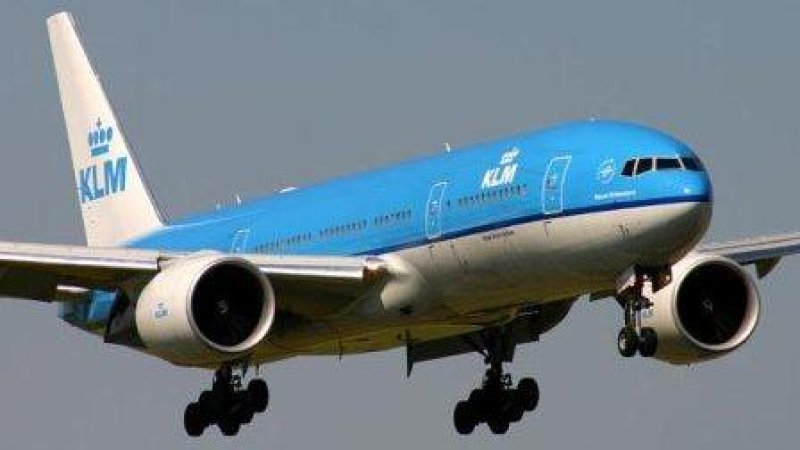 צילום: יח"צ KLM