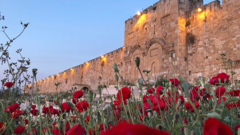 העיר העתיקה, ירושלים. צילום: shutterstock