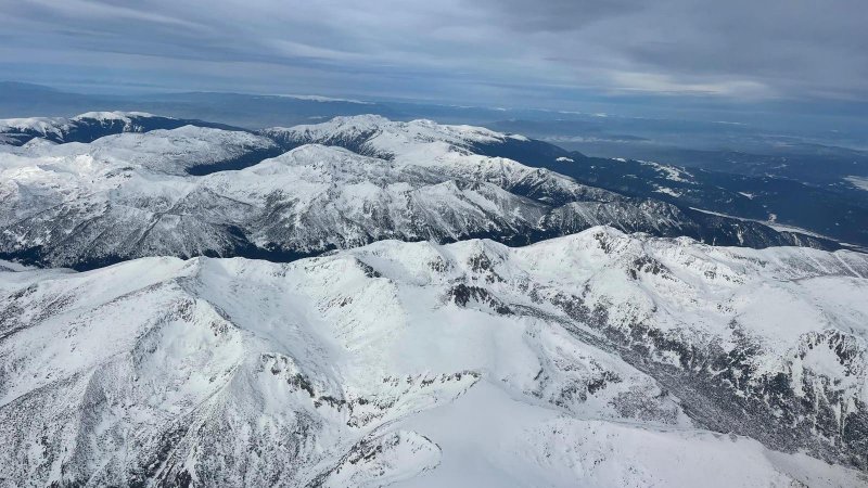 The Bulgarian White (Photo: Passport News)