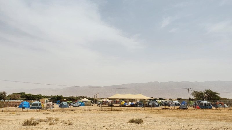 חניון לילה בחי בר יוטבתה. צילום: גלעד גבאי, רטג