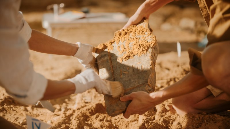 צילום: שאטרסטוק