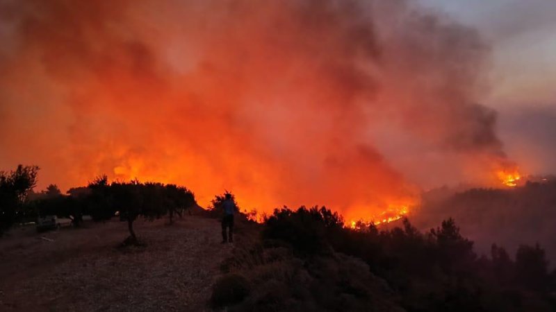 צילום:פספורטניוז