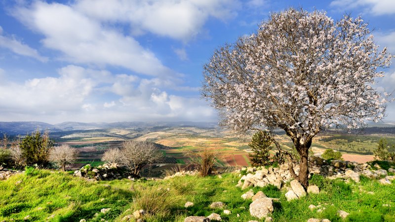 צילום: שאטרסטוק