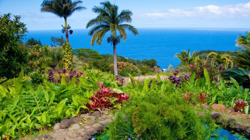 מאווי, הוואי. צילום: Shutterstock