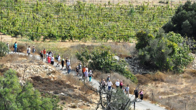 ההמלצות של קק״ל. צילום: מלכה ברקאי