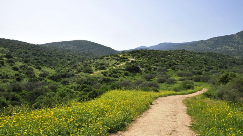 צילום: Shutterstock