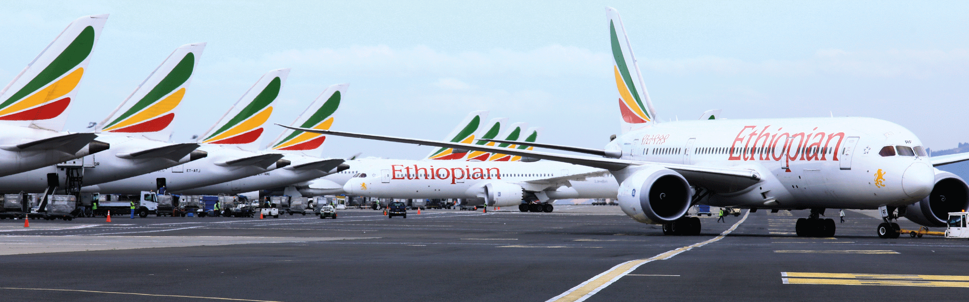 אתיופיאן (צילוםף Ethiopian)