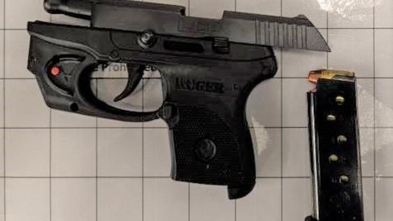 האקדח שנתפס ע״י כוחות הביטחון. צילום: TSA 