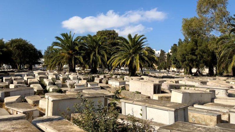 בית קברות יהודי במרוקו. צילום: shutterstock
