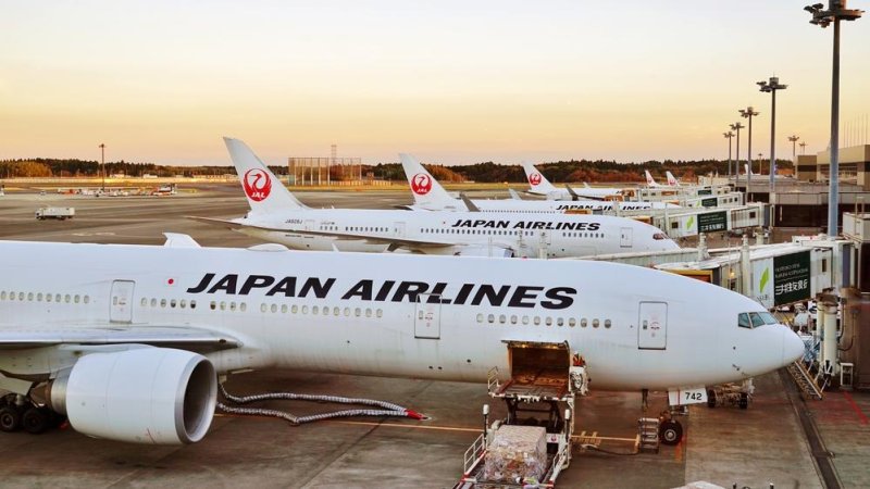 Japan Airlines. צילום: Shutterstock 