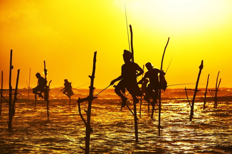 מהים לצלחת. דייגים בחופי סרי לנקה. צילום: Shutterstock