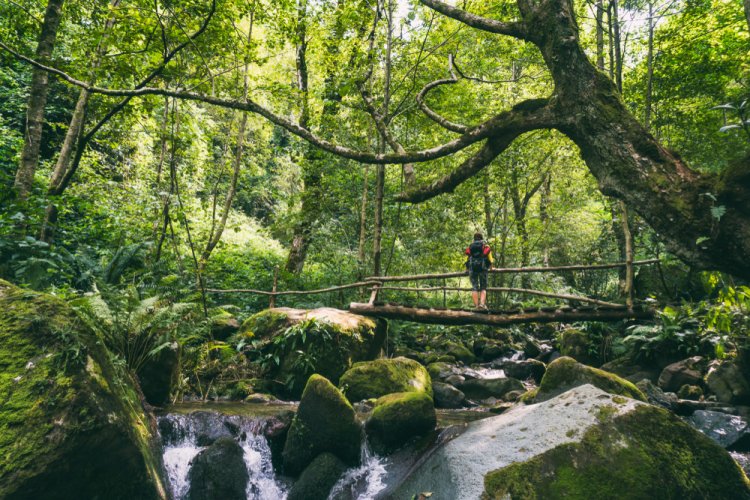 שמורת הטבע מטיראלה, העשירה במפלים, בשבילי הליכה, בגשרי עץ ובאטרקציות. צילום: Shutterstock