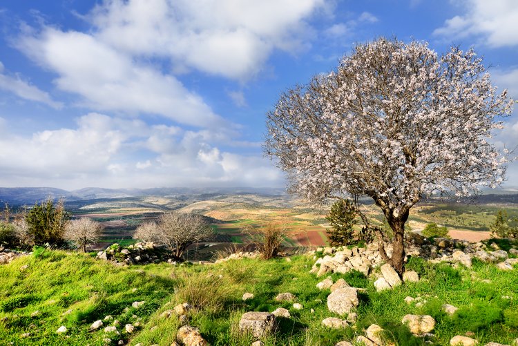 פארק עדולם. צילום: שאטרסטוק