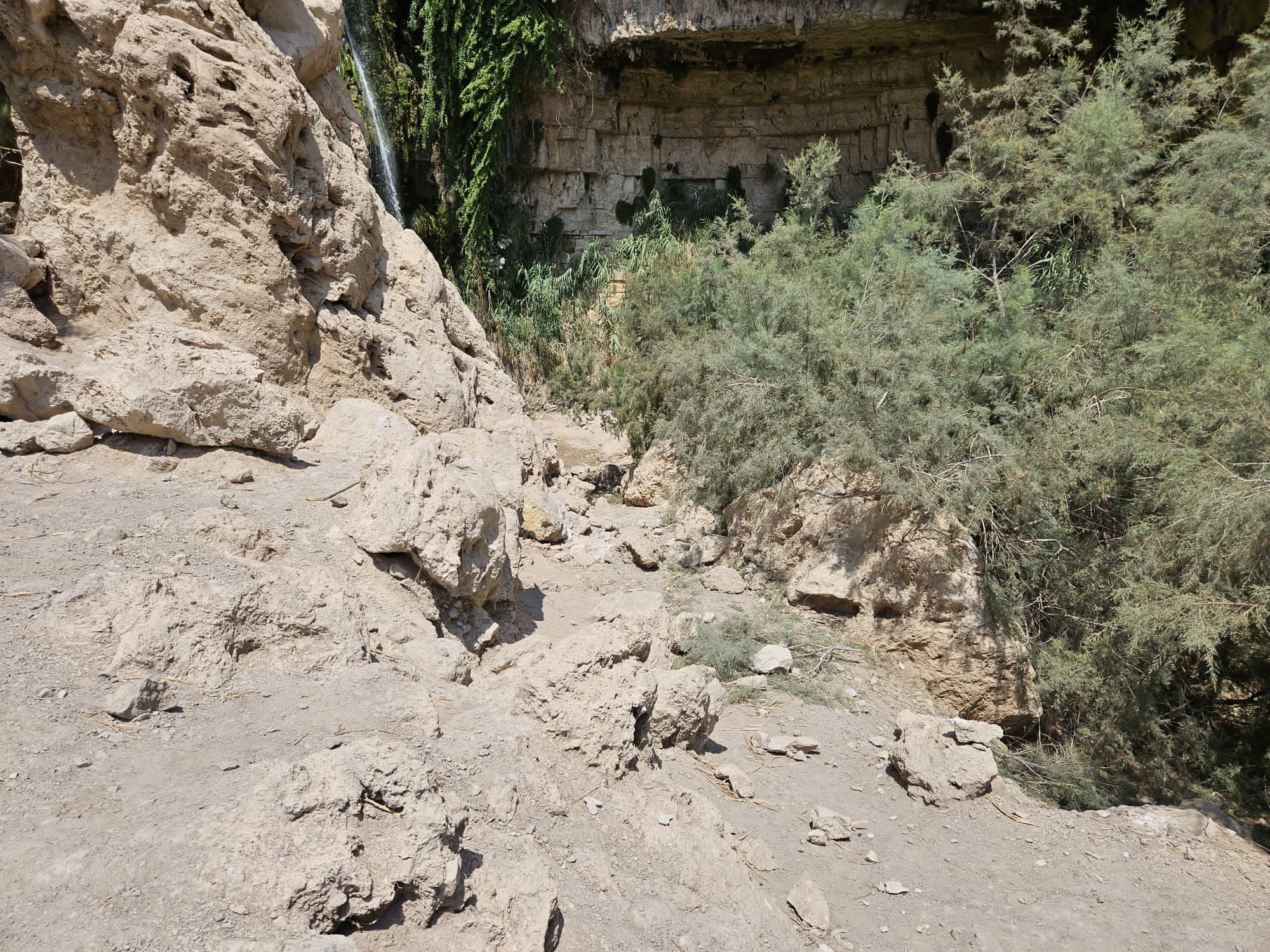 אזור האסון (צילום: ליאור לב רשות הטבע והגנים)