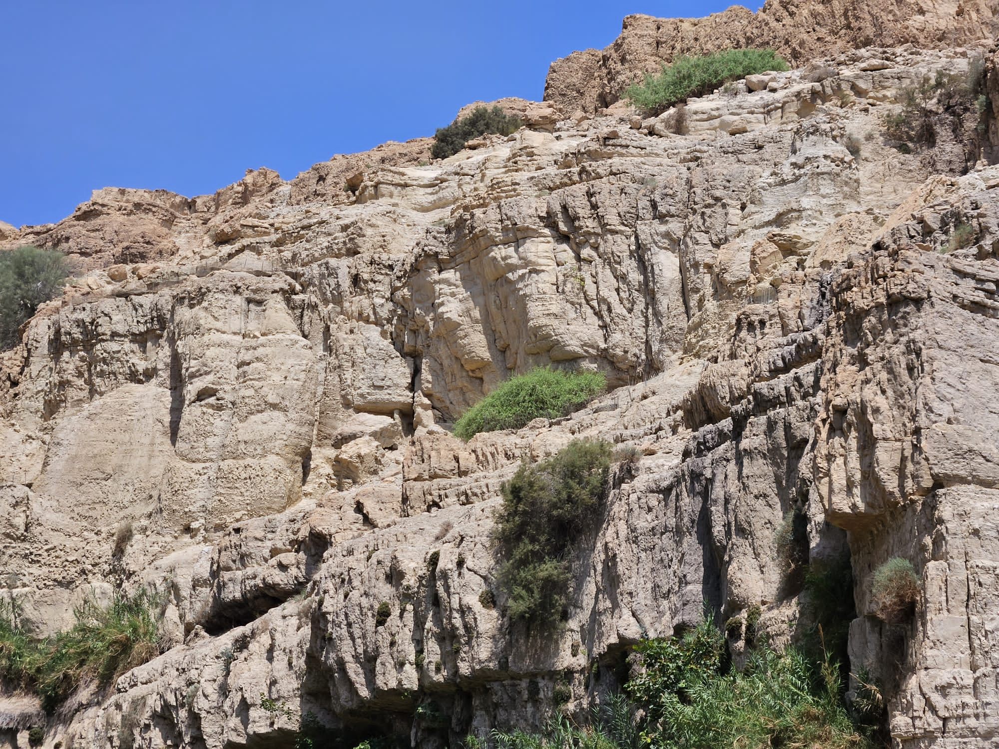 מקום האסון (צילום: ליאור לב רשות הטבע והגנים)