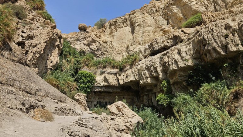 אזור האסון בנחל דוד (צילום: ליאור לב, רשות הטבע והגנים)