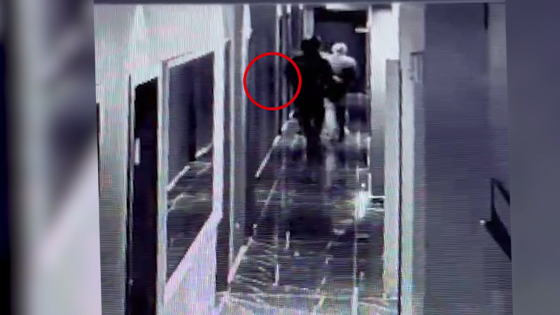 החשודים שנעצרו בפריצה למלון מפונים ביפו (צילום: משטרת ישראל)