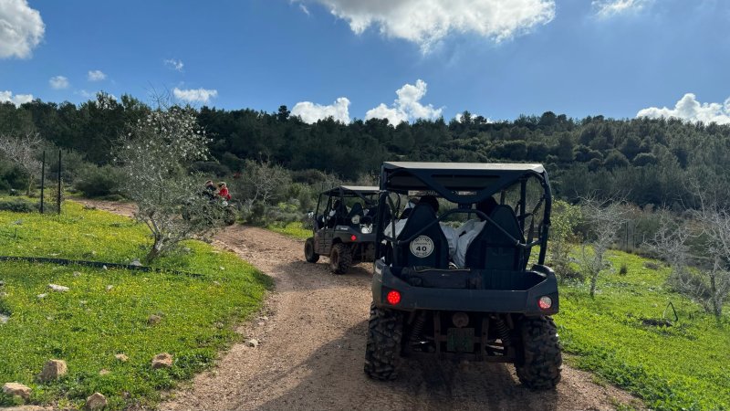 צילום: ניצן אביטל