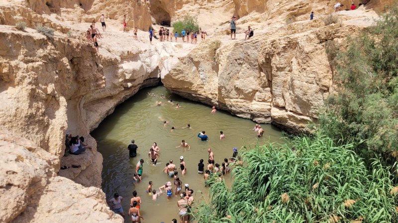 עין ירקעם (צילום: ג'מיל אטרש, רט"ג)