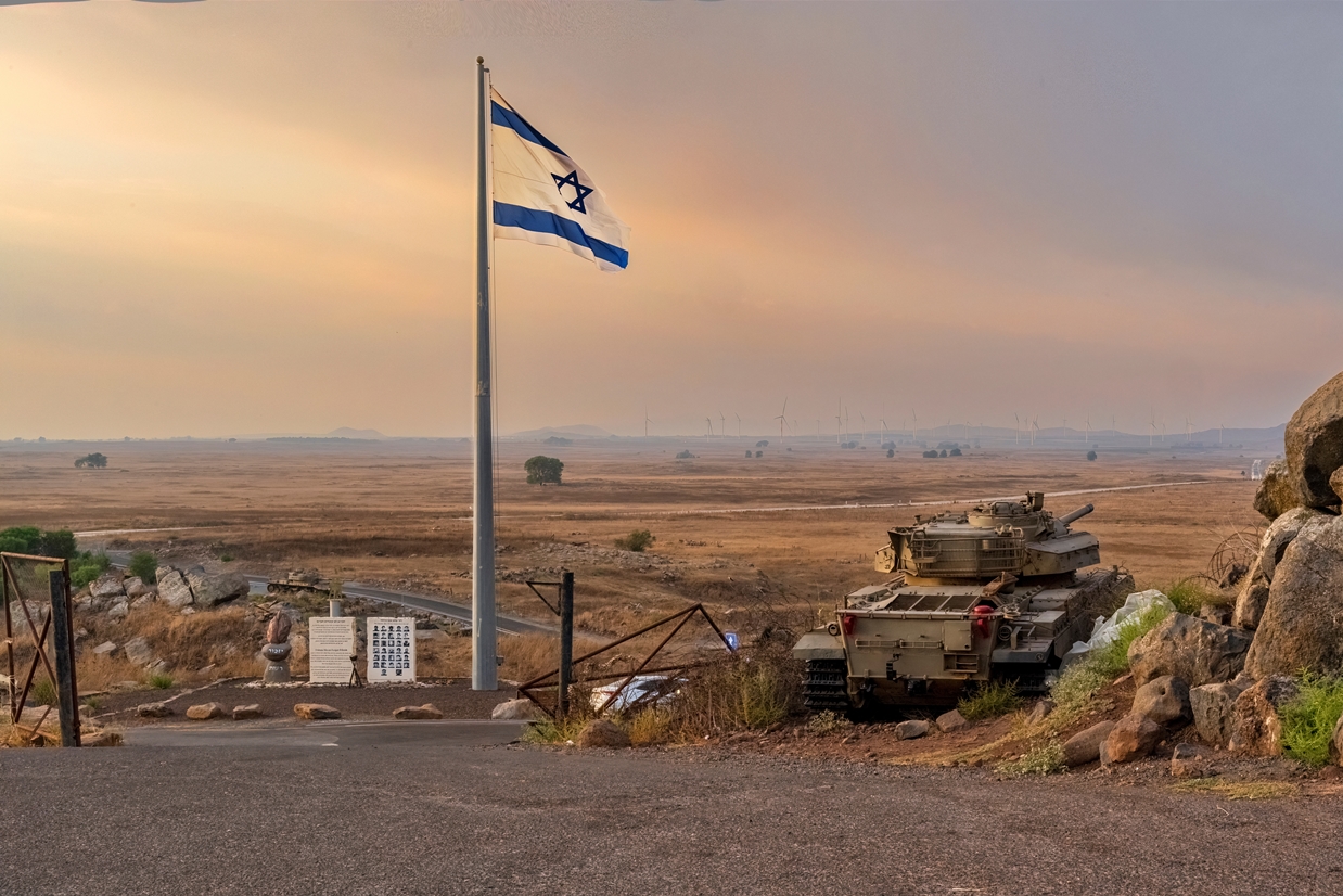 "חוזרים ממילואים ועולים למטוס שיכורים" (צילום: SHUTTERSTOCK)