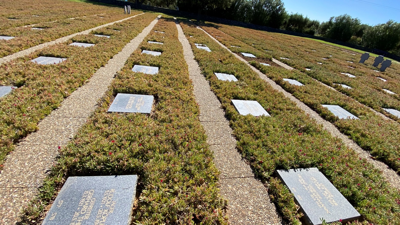 בית הקברות הנאצי (צילום: עמית קוטלר)