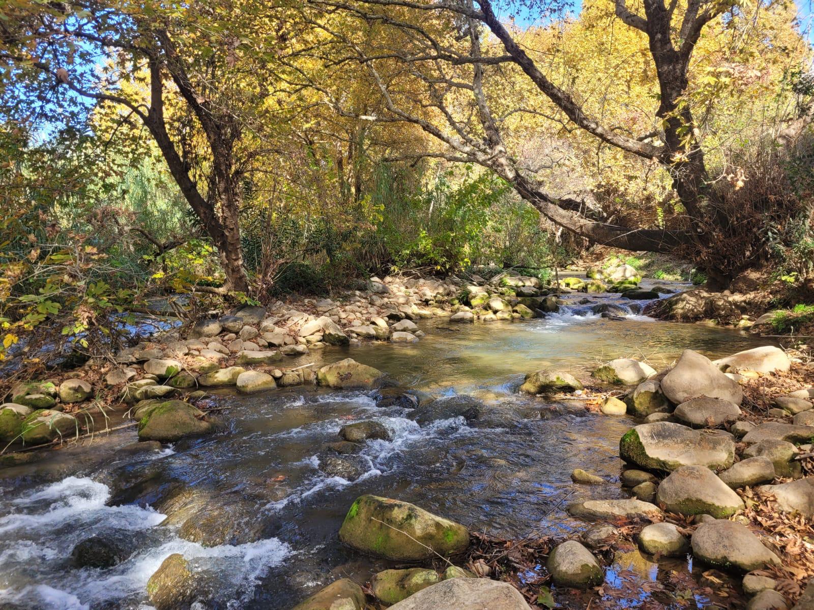 נחל שניר (צילום: רינת רוסו, רשות הטבע והגנים)(