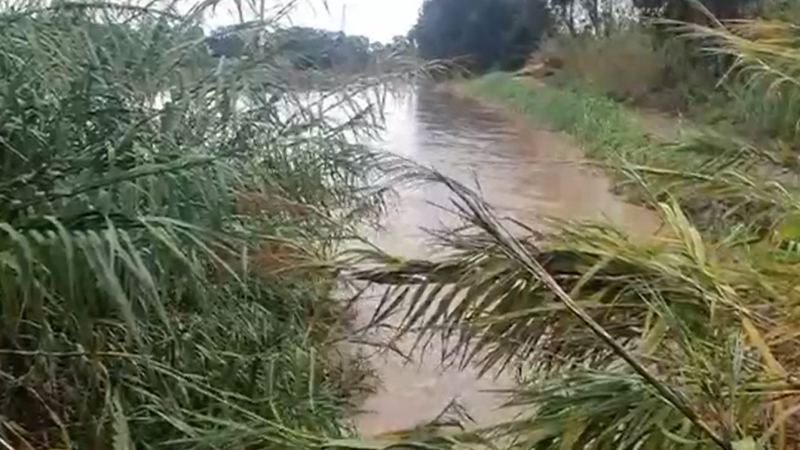 נחל תנינים מוצף (שחף רטר, החברה להגנת הטבע)