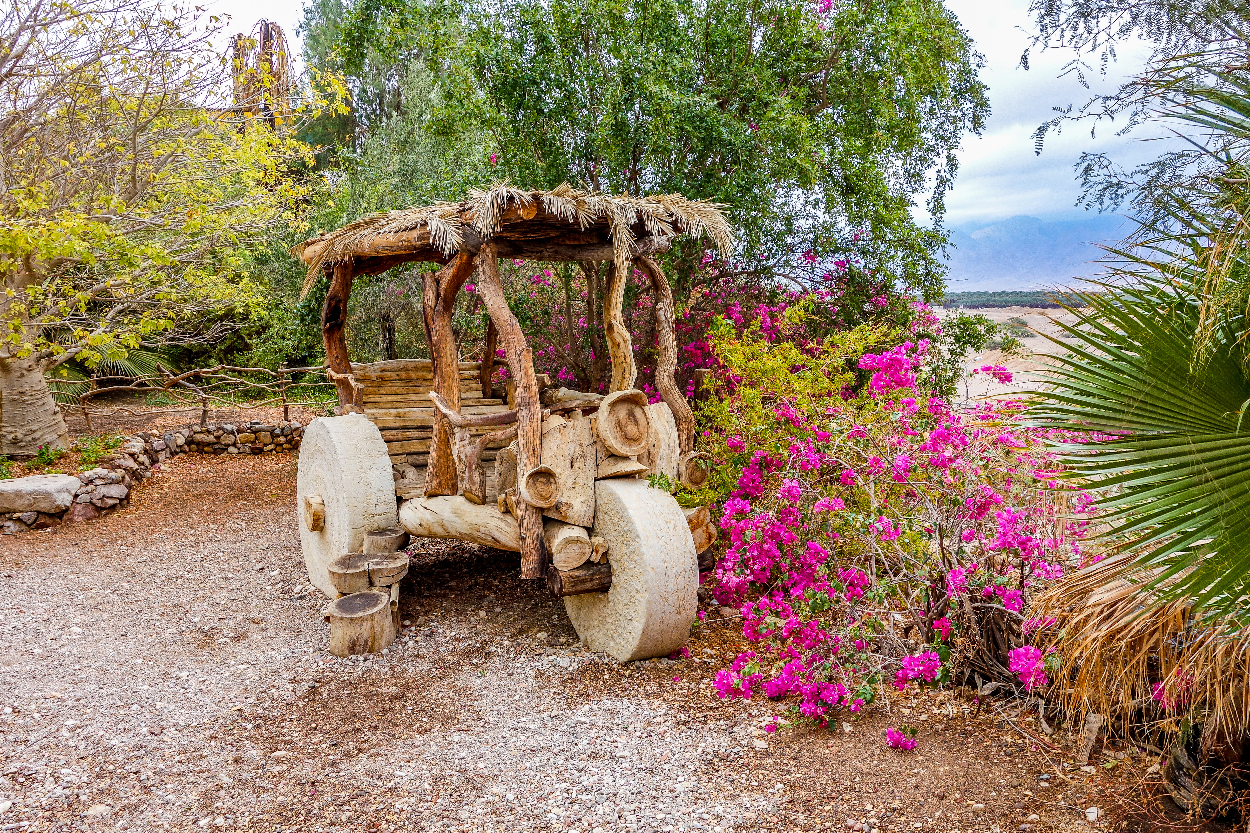 הגן הטרופי בתל אביב. צילום: Shutterstock