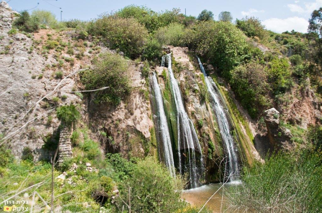 צילום: גלית רוזן