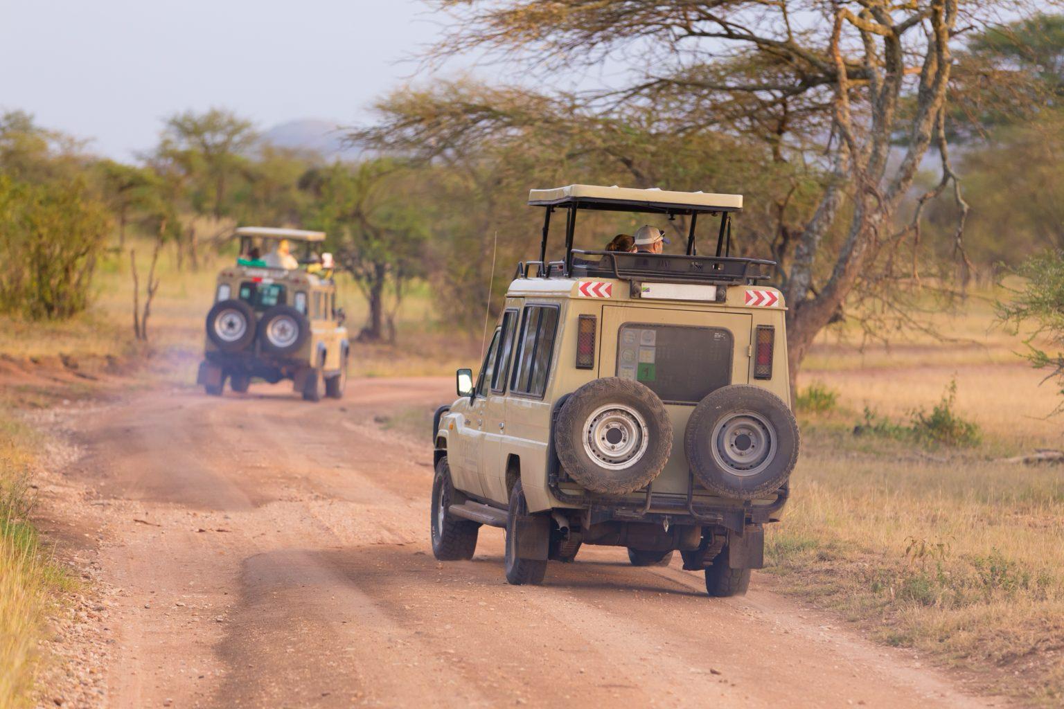 צילום:  African Safaris